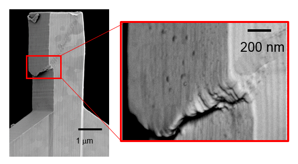 Figure 2: Slip steps on the surface of a deformed nanotwinned Ag micropillar. Figure 2: Slip steps on the surface of a deformed nanotwinned Ag micropillar.