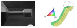 Figure 1: SEM image and 3D reconstruction of an undeformed copper bicrystal cantilever (5x5x25µm³).