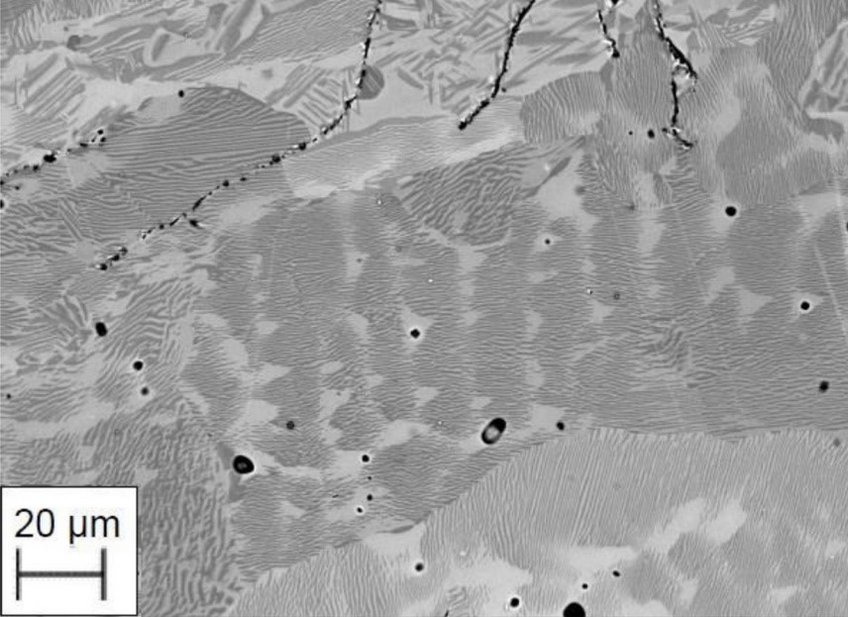 Fig. 1: Lamellar g-TiAl + r-TiAl2 microstructure in a Ti-60Al-1Mo (at.%) alloy after 200 h heat treatment at 1000 °C and quenching to room temperature. Fig. 1: Lamellar g-TiAl + r-TiAl2 microstructure in a Ti-60Al-1Mo (at.%) alloy after 200 h heat treatment at 1000 °C and quenching to room temperature.
