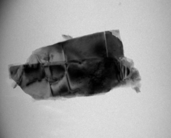 Figure 2: TEM image of a host particle Figure 2: TEM image of a host particle