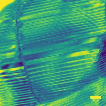 Figure 1. TEM image of a PrNbO4 lamella with a high density of twins. Figure 1. TEM image of a PrNbO4 lamella with a high density of twins.