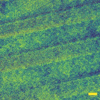 Figure 2. HRTEM image of the twinned area on PrNbO4 lamella. Figure 2. HRTEM image of the twinned area on PrNbO4 lamella.