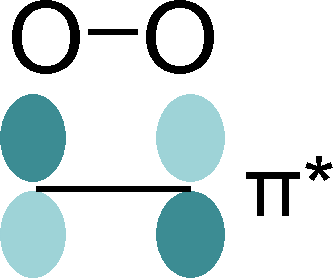 Schematic depiction of a O2 π* orbital. Schematic depiction of a O2 π* orbital.