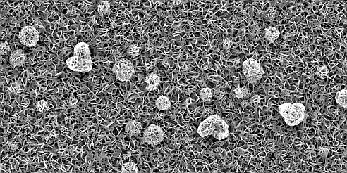 In the light of growing energy needs, depleting fossil fuels, and the threatening global warming, alternative energy sources are needed. Chalcopyrite materials are suitable for renewable energy applications, for example solar cells, water splitting or photo catalysis. In our study, we synthesize copper indium disulfide films <em>via</em> a solvothermal procedure. The nanostructured films are crystalline even at temperatures below 200 °C as shown by electron microscopic techniques.