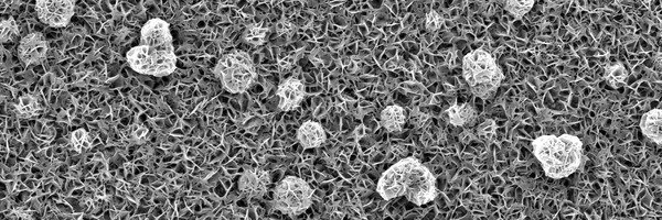 © Anna Frank, Max-Planck-Institut für Eisenforschung GmbH © Anna Frank, Max-Planck-Institut für Eisenforschung GmbH