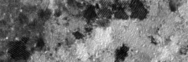 Copyright Max-Planck-Institut für Eisenforschung GmbH Copyright Max-Planck-Institut für Eisenforschung GmbH