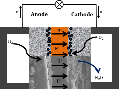 Cross-section of a HT-PEMFC. The membrane in the middle and the adjacent electrodes (anode and cathode) form the membrane electrode assembly (MEA). Cross-section of a HT-PEMFC. The membrane in the middle and the adjacent electrodes (anode and cathode) form the membrane electrode assembly (MEA).