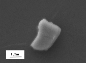 Figure 1: SEM image of a Pr doped particle Figure 1: SEM image of a Pr doped particle