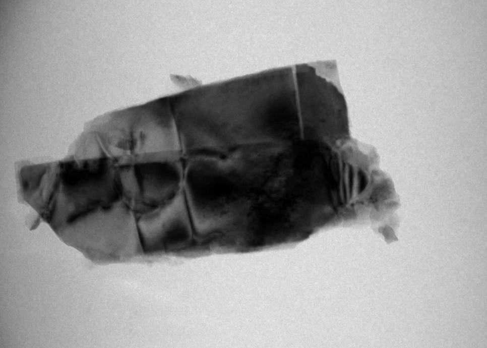 Figure 2: TEM image of a host particle