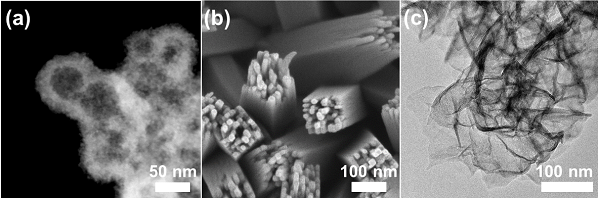 Synthesis and microscopic investigation of functional nanomaterials possessing different morphologies: (a) hollow nanoparticles, (b) nanowires, and (c) 2D nanosheets.