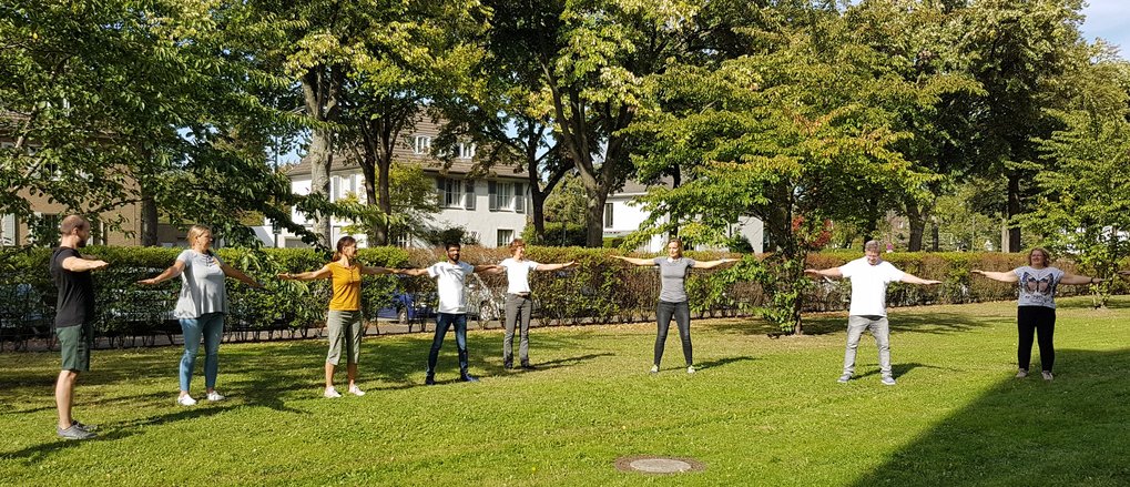 Eight people practicing stretches in a sunny park with trees.