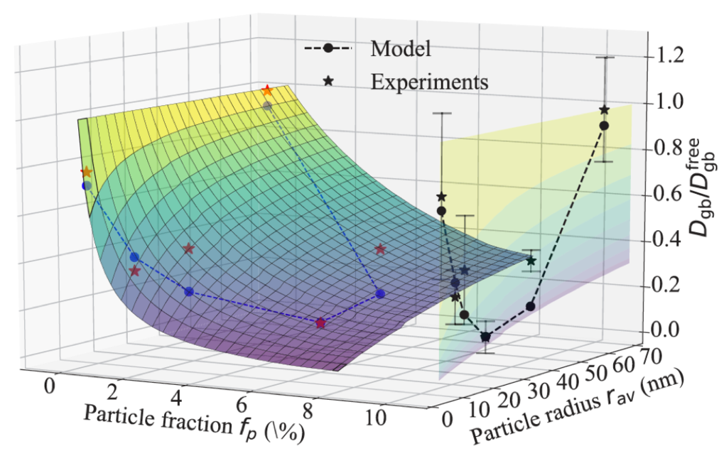 Fig 1: Computed 3D surface showing the variation of the renormalized diffusion coefficient of tracer Co with the particle size and fraction. The computed non-monotonic behavior agrees very well with experiments.