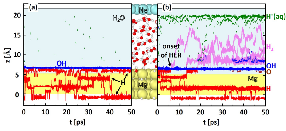 Fig.1: Ab initio computed trajectories of the atomic and molecular species formed when Mg is exposed to water for (a) open circuit conditions and (b) under anodic polarisation. Trajectories are shown in a projection along the normal to the Mgsurface. Blue, red, violet, green, and brown lines mark OH, H, H2, H+ (aq.), and O, respectively. The onset of the H2 evolution reaction is indicated in (b) by a black arrow. Tajectories of Mg atoms (intact water molecules) are shown as yellow (blue) colored background. The atomic geometry of the used supercell is visualized between the figures (a) and (b). Atoms are shown as coloredspheres: Mg (yellow), Ne (turquoise), oxygen (red).