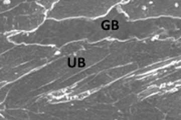 Characterization of the micromechanical behavior of advanced high-strength bainitic steels