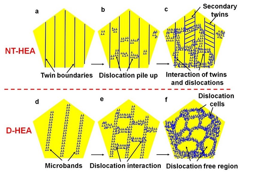 Schematic showing the evolution of microstructures of the two high entropy alloys Schematic showing the evolution of microstructures of the two high entropy alloys