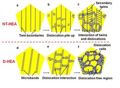 Schematic showing the evolution of microstructures of the two high entropy alloys