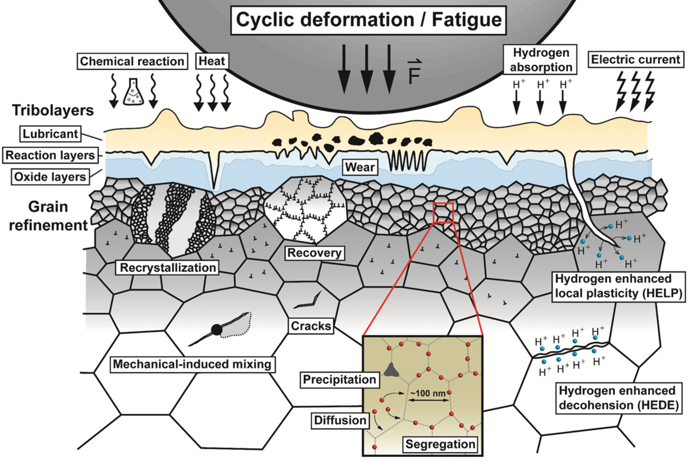 Fig. 1: Microstructure alterations caused by intense mechanical/environmental contacts.