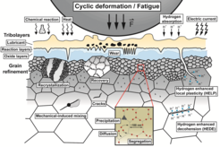 Fig. 1: Microstructure alterations caused by intense mechanical/environmental contacts.