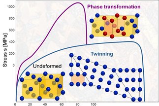 Influence of Carbon on Stacking Fault Energy