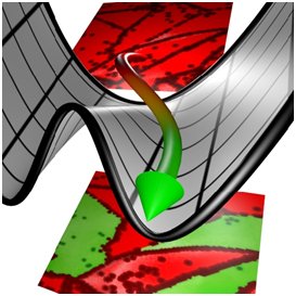 Logo of the group showing the intimate coupling between experiment and theory: The red fields show EBSD images of a material before and after phase transformation. The black/grey surface shows the energy dependence of a stable and unstable phase.