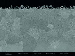 Fig. 1: SEM image of a Fe-2M%Mn-2%Si model alloy annealed at 700°C for 70 hours at partial pressure of oxygen just below the equilibrium partial pressure of Fe/FeO.