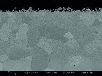 Fig. 1: SEM image of a Fe-2M%Mn-2%Si model alloy annealed at 700°C for 70 hours at partial pressure of oxygen just below the equilibrium partial pressure of Fe/FeO. Fig. 1: SEM image of a Fe-2M%Mn-2%Si model alloy annealed at 700°C for 70 hours at partial pressure of oxygen just below the equilibrium partial pressure of Fe/FeO.
