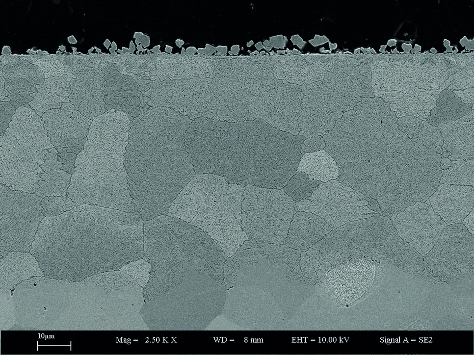 Fig. 1: SEM image of a Fe-2M%Mn-2%Si model alloy annealed at 700°C for 70 hours at partial pressure of oxygen just below the equilibrium partial pressure of Fe/FeO.