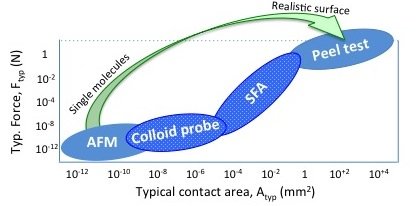 The new adhesion science and friction labs, which are fully operational since May 1st, allow now to test adhesion and friction at extended length and force scales, providing the means to understand macroscopic adhesion and friction phenomena based on their molecular level details. Currently, the group operates 2 AFMs (one is currently being equipped with tip enhanced Raman), one SFA-2000 and is setting up peel-test equipment. The new adhesion science and friction labs, which are fully operational since May 1st, allow now to test adhesion and friction at extended length and force scales, providing the means to understand macroscopic adhesion and friction phenomena based on their molecular level details. Currently, the group operates 2 AFMs (one is currently being equipped with tip enhanced Raman), one SFA-2000 and is setting up peel-test equipment.