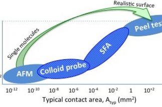 lnteraction Forces and Functional Materials
