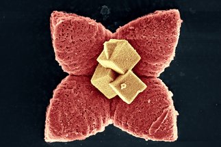 Nanostructured Materials for Renewable Energies