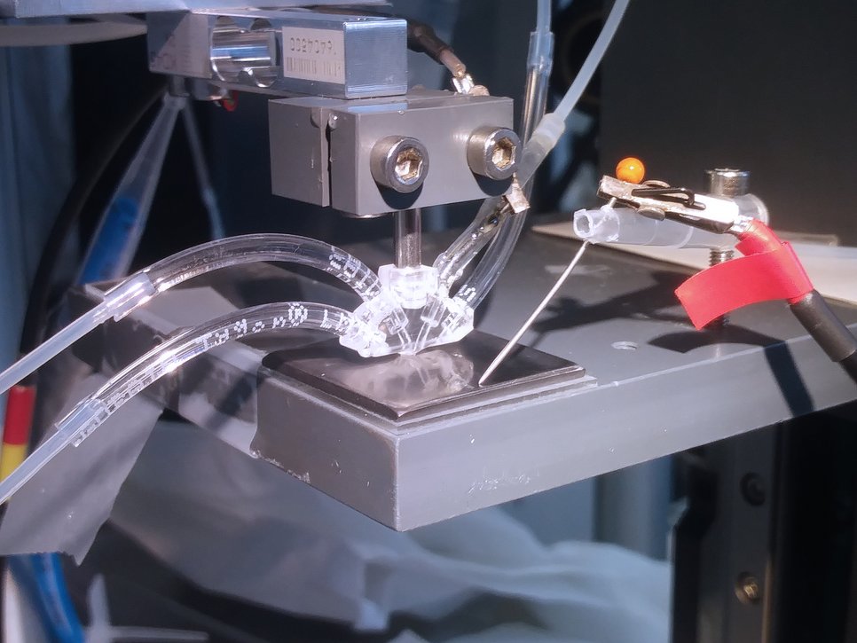 The scanning flow cell was used to do in situ measurements. The Max Planck scientists and their colleagues found ways to stabilize electrocatalysts and make them less expensive using a combination of precious and non-noble metals.