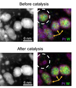 Electron microscopy images before and after electrocatalysis of individual nanoparticles. Perfectly, homogeneously distributed core-shell particles remain stable during the degradation protocol (yellow arrows) while small defects in the shell result in complete particle collapse (white circle).