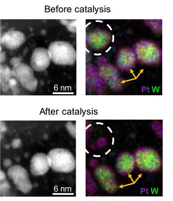 Electron microscopy images before and after electrocatalysis of individual nanoparticles. Perfectly, homogeneously distributed core-shell particles remain stable during the degradation protocol (yellow arrows) while small defects in the shell result in complete particle collapse (white circle). Electron microscopy images before and after electrocatalysis of individual nanoparticles. Perfectly, homogeneously distributed core-shell particles remain stable during the degradation protocol (yellow arrows) while small defects in the shell result in complete particle collapse (white circle).