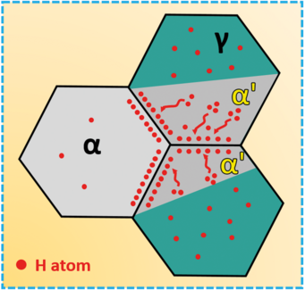 Fig. 3: Schematically: H in oversaturated martensite (a') segregates to grain boundaries. Embrittlement of these boundaries leads to observed intercrystalline failure. Fig. 3: Schematically: H in oversaturated martensite (a') segregates to grain boundaries. Embrittlement of these boundaries leads to observed intercrystalline failure.