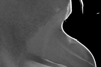 Non-toxic, Affordable Bulk Thermoelectrics for Clean Power Generation from Waste Heat