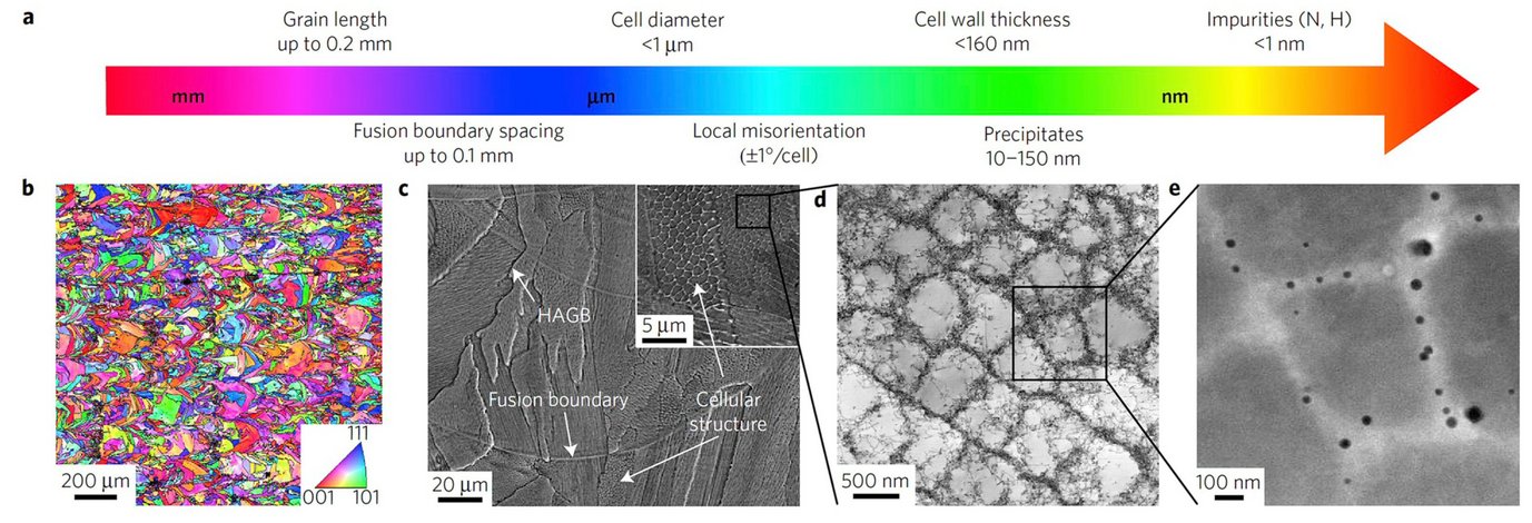 Microstructural features of an L-PBF produced 316L austenitic stainless steel at different length scales. a) Schematic showing the various length scales of the microstructural features observed. b) EBSD inverse pole figure mapping showing the grain orientations. C) SEM image of the cross section showing high-angle grain boundaries (HAGB), fusion boundaries (delineating melt pools), and the cellular solidification structure. d) Bright field TEM image of the cellular structure showing dislocation networks in the cell boundaries. e) high-angle annular dark-field (HAADF) scanning TEM (STEM) image of the solidification cells showing oxide particles.