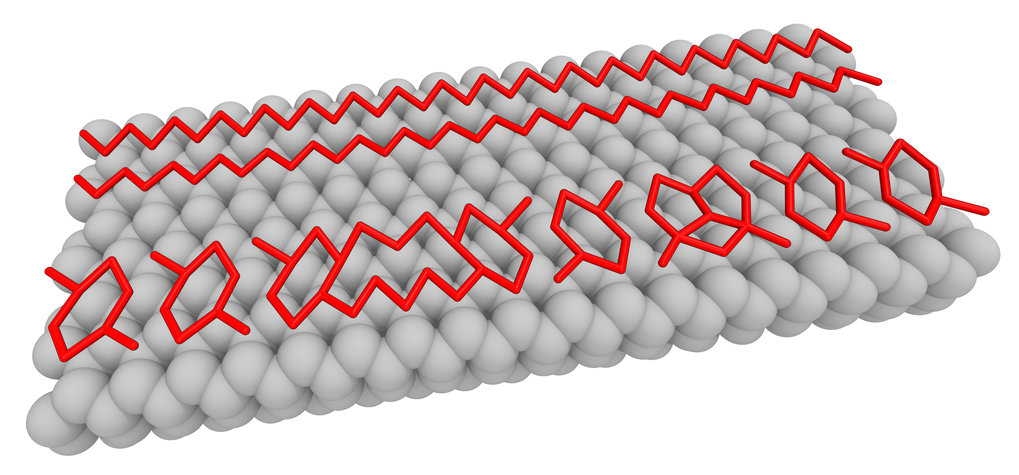 Topological solitonic excitations in charge density waves Topological solitonic excitations in charge density waves