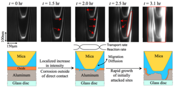 Consecutive 2D FECO images obtained as a function of time after injection of 5 mM NaCl into a confined aluminum/mica contact. The schematics below show progress of the corrosive reaction as deduced from the FECO images. As indicated in the schematic shown in (c) a subtle balance between material transport rates (diffusion and migration) as well as reaction rates may control the locations where rapid Crevice Corrosion initiation is most likely. Consecutive 2D FECO images obtained as a function of time after injection of 5 mM NaCl into a confined aluminum/mica contact. The schematics below show progress of the corrosive reaction as deduced from the FECO images. As indicated in the schematic shown in (c) a subtle balance between material transport rates (diffusion and migration) as well as reaction rates may control the locations where rapid Crevice Corrosion initiation is most likely.
