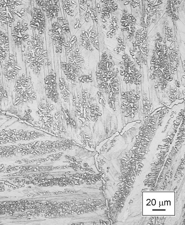 Formation of dendrite-like precipitates in an Fe40Al60 alloy during a solid-solid eutectoid decomposition reaction occurring during quenching from the Fe5Al8 single-phase state at 1150 °C.
