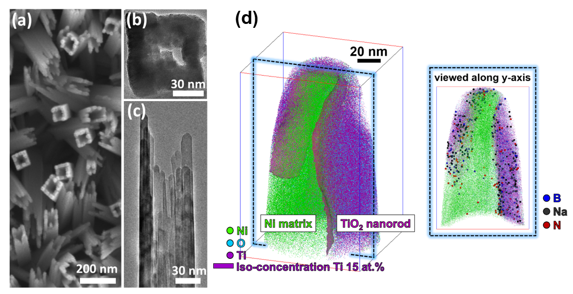 Fig. (a) SEM, (b)&amp;(c) TEM image, and (c) 3D reconstructed atom map of as-synthesized hollow TiO2 nanorods. (c) 1D compositional profile along TiO2 nanorod. (c) 5 nm thin slices from 3D atom map presenting with B, Na, and N impurities.