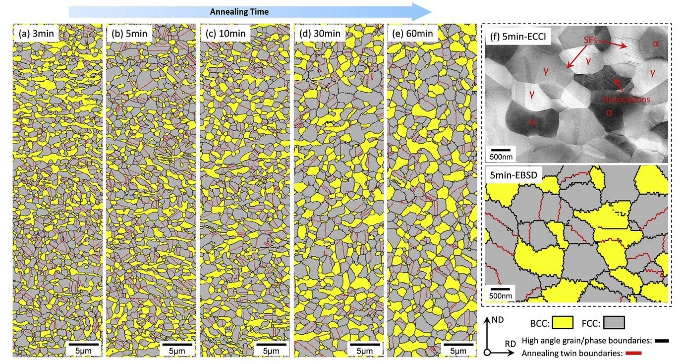 EBSD phase mapping of the steel samples intercritically annealed at 800 °C for (a) 3 min, (b) 5 min, (c) 10 min, (d) 30 min and (e) 60 min; (f) Correlative ECCI and EBSD results for the 5 min annealed sample, showing a fully recrystallized microstructure with a few stacking faults (SFs) inside austenite and dislocations in ferrite.