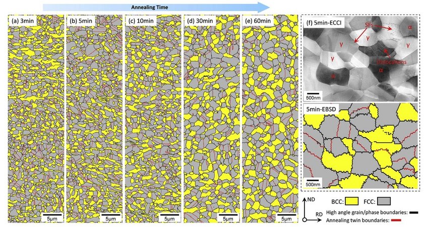 EBSD phase mapping of the steel samples intercritically annealed at 800 °C for (a) 3 min, (b) 5 min, (c) 10 min, (d) 30 min and (e) 60 min; (f) Correlative ECCI and EBSD results for the 5 min annealed sample, showing a fully recrystallized microstructure with a few stacking faults (SFs) inside austenite and dislocations in ferrite. EBSD phase mapping of the steel samples intercritically annealed at 800 °C for (a) 3 min, (b) 5 min, (c) 10 min, (d) 30 min and (e) 60 min; (f) Correlative ECCI and EBSD results for the 5 min annealed sample, showing a fully recrystallized microstructure with a few stacking faults (SFs) inside austenite and dislocations in ferrite.