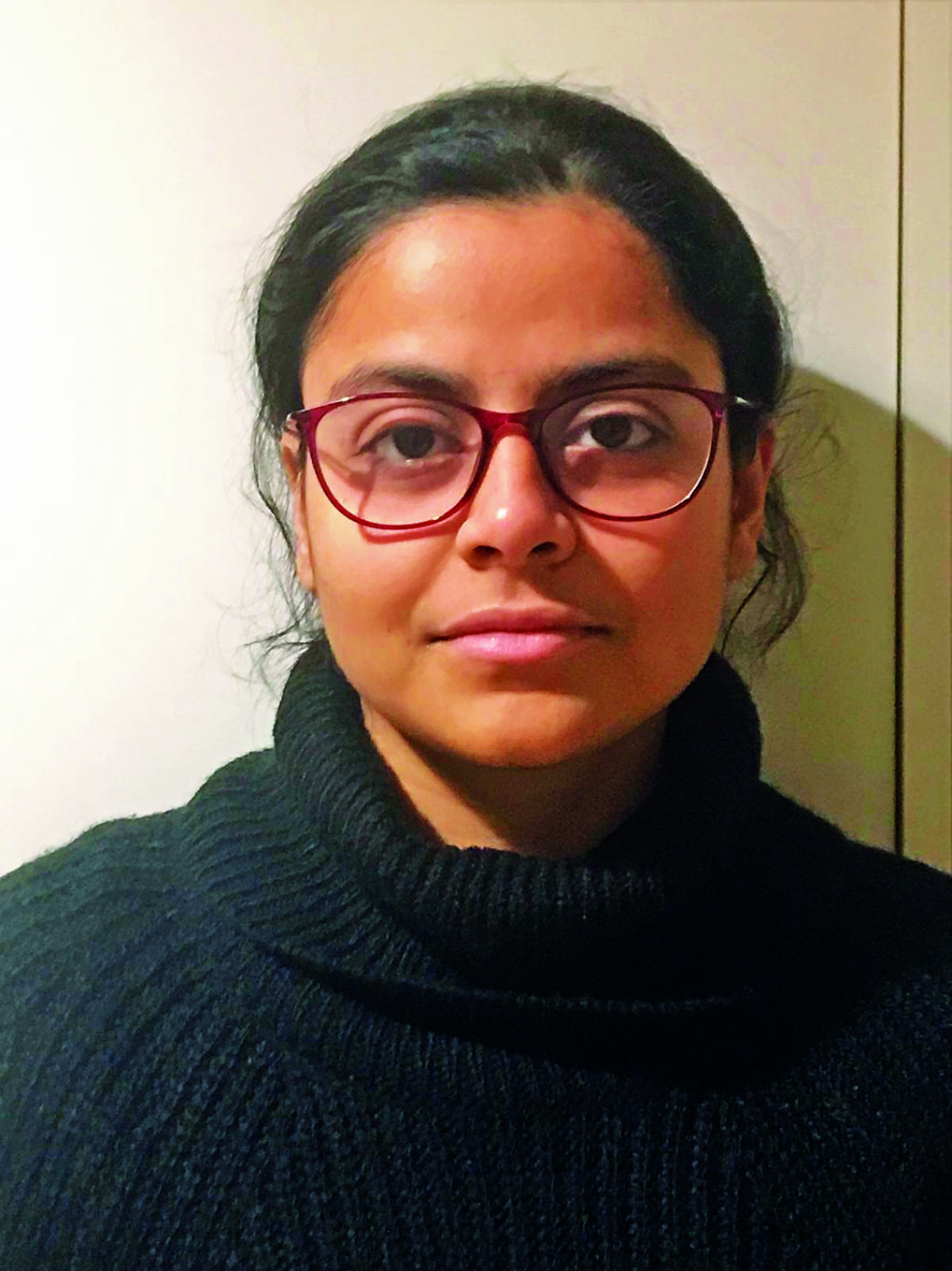 © P. Chakraborty, Max-Planck-Institut für Eisenforschung GmbH