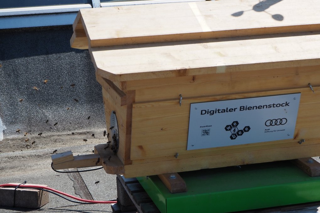 Bees carry pollen to their new home on the roof of the Max Planck Institute for Sustainable Materials. Wooden hive labeled "Digitaler Bienenstock" with bees flying around.