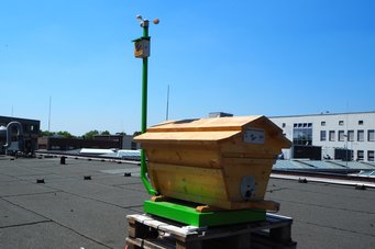 Cameras and high-tech sensors explore the life of the bees. Cameras and high-tech sensors explore the life of the bees.