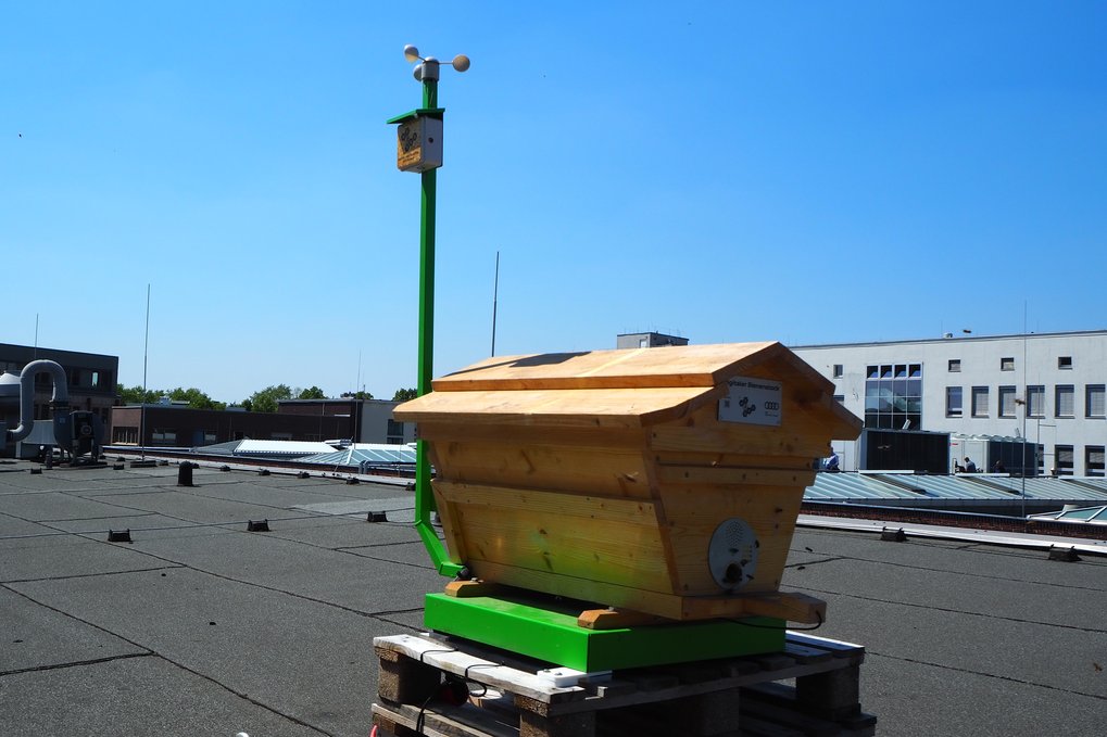 Cameras and high-tech sensors explore the life of the bees. Wooden bee hive on a rooftop with weather station nearby.
