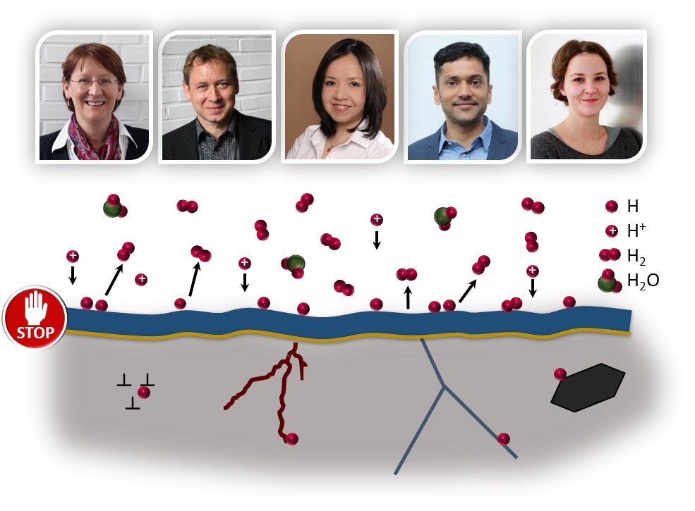 Wie schützt man Stahl vor Wasserstoffversprödung? Das Max-Planck-Team (von links nach rechts: Christina Scheu, Gerhard Dehm, Jazmin Duarte Correa, Hariprasad Gopalan, Anna Frank) ist Teil einer Forschungskooperation, die Wasserstoff-resistente Beschichtungen entwickelt. Diese Beschichtungen werden es zukünftig erlauben auch kostengünstige Stähle in der Wasserstoff-Technologie zu verwenden. Wie schützt man Stahl vor Wasserstoffversprödung? Das Max-Planck-Team (von links nach rechts: Christina Scheu, Gerhard Dehm, Jazmin Duarte Correa, Hariprasad Gopalan, Anna Frank) ist Teil einer Forschungskooperation, die Wasserstoff-resistente Beschichtungen entwickelt. Diese Beschichtungen werden es zukünftig erlauben auch kostengünstige Stähle in der Wasserstoff-Technologie zu verwenden.