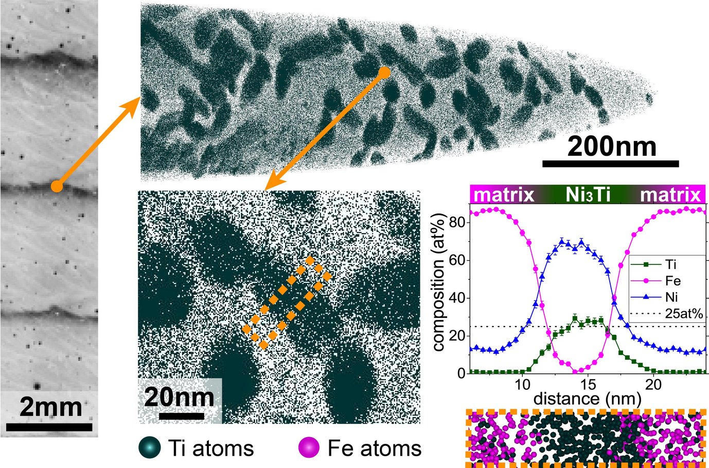 Fig. 2: Atom probe tomography measurement showing the Ti-rich precipitates that are triggered by the intrinsic heat treatment during the additive manufacturing process in the dark, hardened layers. Ti atoms in a thin layer of 5nm thickness through the reconstructed volume are shown. The graph on the lower right shows a composition profile through a single Ti-rich precipitate as indicated by the dashed orange boxes. The precipitates contain 25at% Ti.