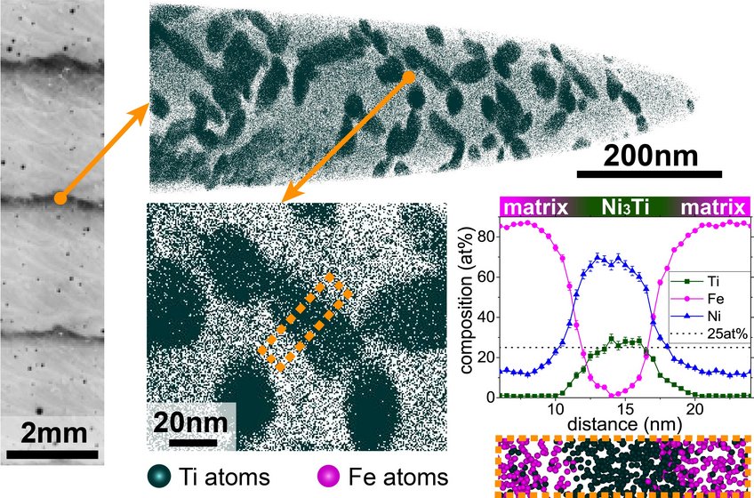 Fig. 2: Atom probe tomography measurement showing the Ti-rich precipitates that are triggered by the intrinsic heat treatment during the additive manufacturing process in the dark, hardened layers. Ti atoms in a thin layer of 5nm thickness through the reconstructed volume are shown. The graph on the lower right shows a composition profile through a single Ti-rich precipitate as indicated by the dashed orange boxes. The precipitates contain 25at% Ti. Fig. 2: Atom probe tomography measurement showing the Ti-rich precipitates that are triggered by the intrinsic heat treatment during the additive manufacturing process in the dark, hardened layers. Ti atoms in a thin layer of 5nm thickness through the reconstructed volume are shown. The graph on the lower right shows a composition profile through a single Ti-rich precipitate as indicated by the dashed orange boxes. The precipitates contain 25at% Ti.