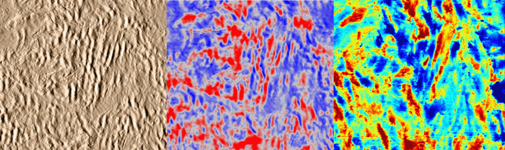 © P. Jovičević-Klug